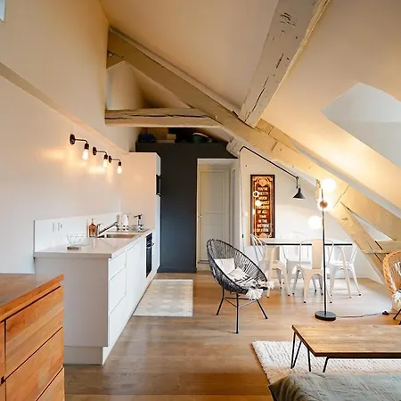 Apartment Grand Coeur Du Marais - Dernier Etage
